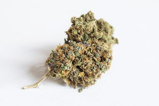 草珊瑚医药品牌店，品质与健康共舞