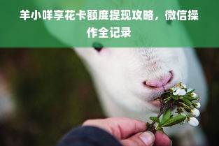 羊小咩享花卡额度提现攻略，微信操作全记录