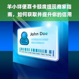 羊小咩便荔卡额度提现商家指南，如何获取并提升你的信用额度