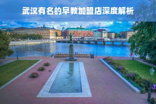 武汉有名的早教加盟店深度解析