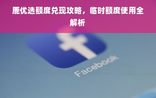 鹿优选额度兑现攻略，临时额度使用全解析