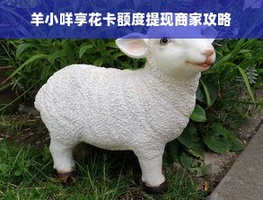 羊小咩享花卡额度提现商家攻略