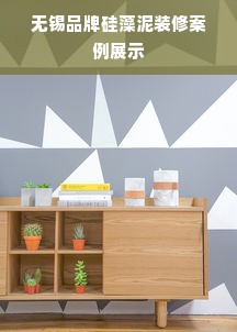 无锡品牌硅藻泥装修案例展示
