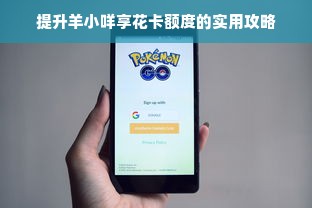 提升羊小咩享花卡额度的实用攻略
