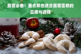 露营必备！盘点那些适合露营蛋糕的品牌与选择