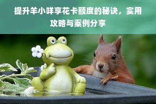 提升羊小咩享花卡额度的秘诀，实用攻略与案例分享