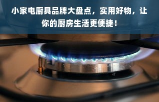 小家电厨具品牌大盘点，实用好物，让你的厨房生活更便捷！
