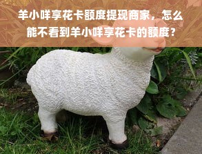 羊小咩享花卡额度提现商家，怎么能不看到羊小咩享花卡的额度？