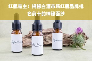 红瓶霸主！揭秘白酒市场红瓶品牌排名前十的神秘面纱