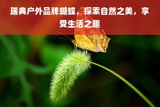 瑞典户外品牌蝴蝶，探索自然之美，享受生活之趣
