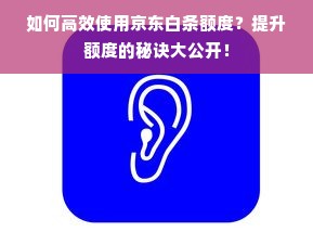 如何高效使用京东白条额度？提升额度的秘诀大公开！