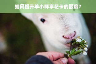 如何提升羊小咩享花卡的额度？