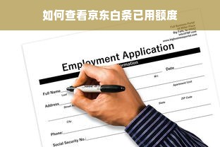 如何查看京东白条已用额度