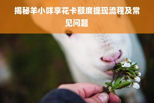 揭秘羊小咩享花卡额度提现流程及常见问题
