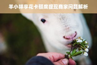 羊小咩享花卡额度提现商家问题解析