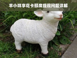 羊小咩享花卡额度提现问题详解