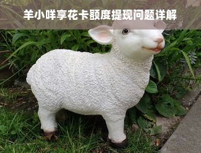 羊小咩享花卡额度提现问题详解