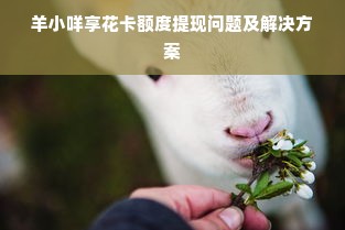 羊小咩享花卡额度提现问题及解决方案