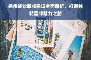扬州餐饮品牌建设全面解析，打造独特品牌魅力之路