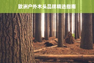 欧洲户外木头品牌精选指南