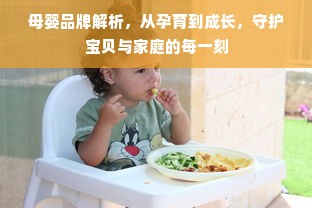 母婴品牌解析，从孕育到成长，守护宝贝与家庭的每一刻