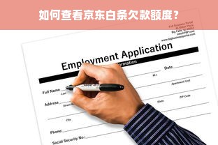 如何查看京东白条欠款额度？