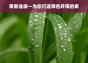 荣新油漆—为您打造绿色环保的家