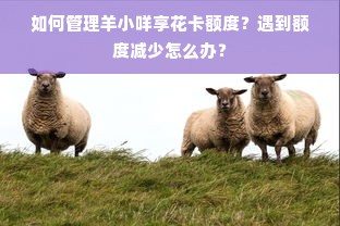 如何管理羊小咩享花卡额度？遇到额度减少怎么办？