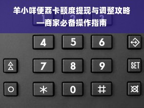 羊小咩便荔卡额度提现与调整攻略—商家必备操作指南