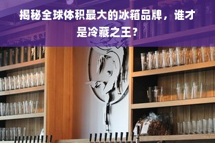 揭秘全球体积最大的冰箱品牌，谁才是冷藏之王？