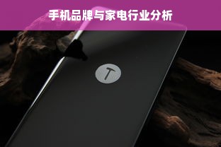 手机品牌与家电行业分析