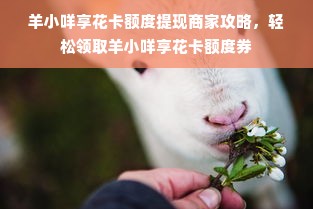羊小咩享花卡额度提现商家攻略，轻松领取羊小咩享花卡额度券