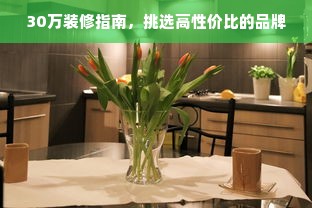 30万装修指南，挑选高性价比的品牌