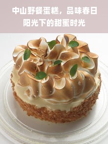 中山野餐蛋糕，品味春日阳光下的甜蜜时光