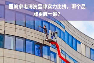 园岭家电清洗品牌实力比拼，哪个品牌更胜一筹？