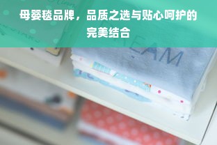 母婴毯品牌，品质之选与贴心呵护的完美结合