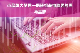 小品牌大梦想—揭秘组装电脑界的黑马品牌