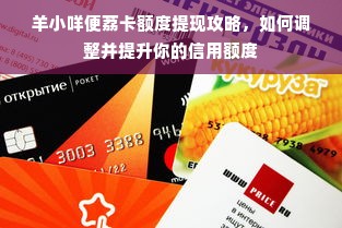 羊小咩便荔卡包额度如何套出来？查看额度方法大揭秘