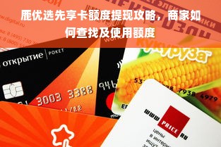 鹿优选先享卡额度提现攻略，商家如何查找及使用额度