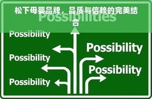 松下母婴品牌，品质与信赖的完美结合