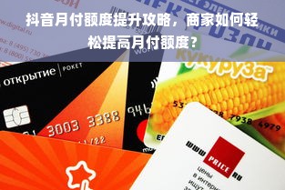 抖音月付额度提升攻略，商家如何轻松提高月付额度？