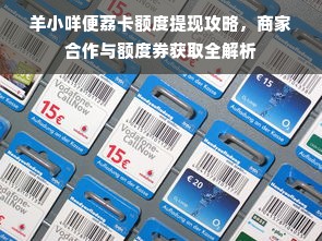 羊小咩便荔卡额度提现攻略，商家合作与额度券获取全解析