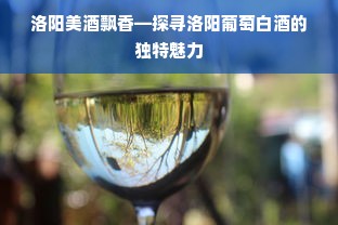 洛阳美酒飘香—探寻洛阳葡萄白酒的独特魅力