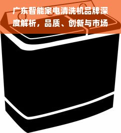 广东智能家电清洗机品牌深度解析，品质、创新与市场的完美结合