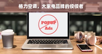 格力空调，大家电品牌的佼佼者