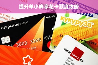 提升羊小咩享花卡额度攻略