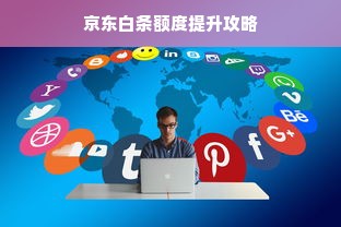 京东白条额度提升攻略
