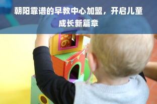 朝阳靠谱的早教中心加盟，开启儿童成长新篇章