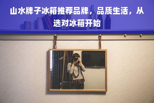 山水牌子冰箱推荐品牌，品质生活，从选对冰箱开始