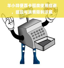 羊小咩便荔卡额度使用指南，提现与消费限制详解